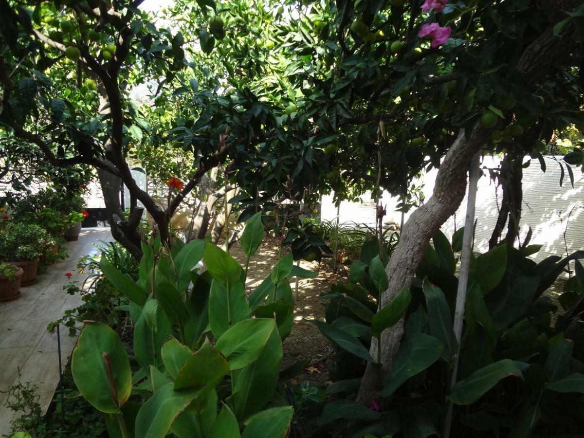 KhóniasCozy Citrus Garden House By The Seaside.别墅 外观 照片